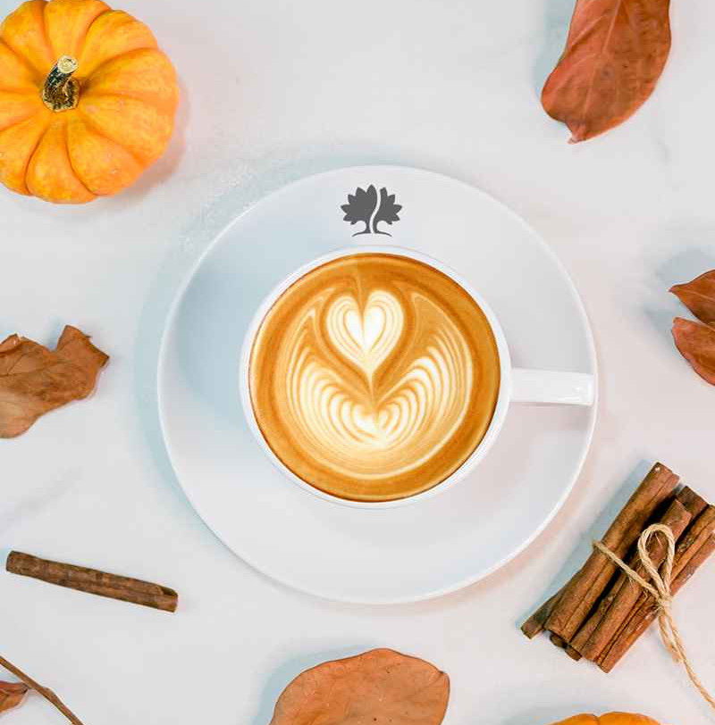 Cafe Latte Bal KabaklıI