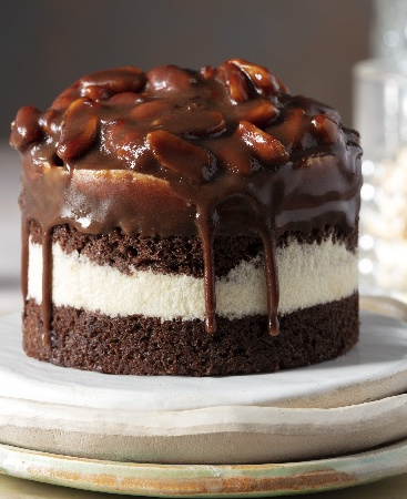 Yer Fıstıklı Mono Pasta